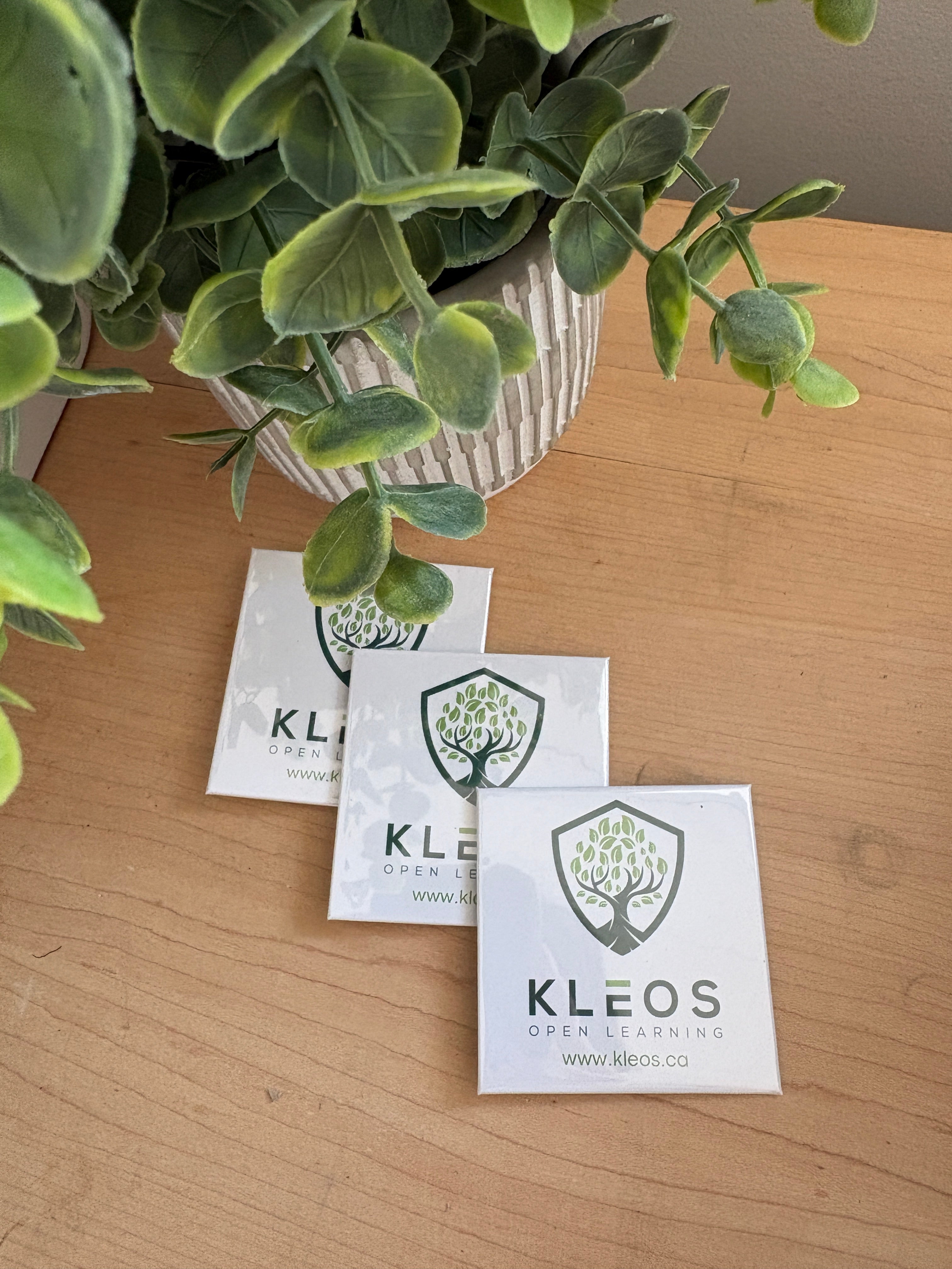 Promotional Magnets