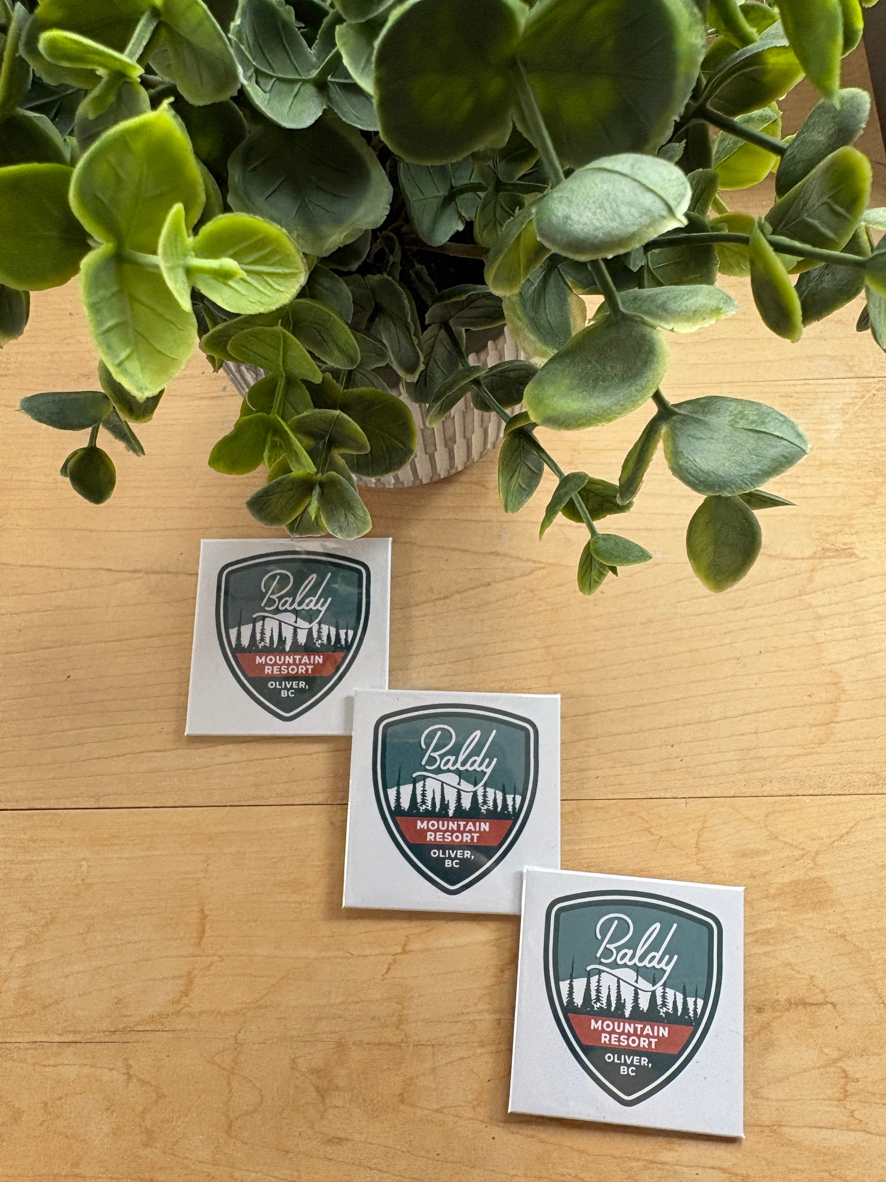 Promotional Magnets